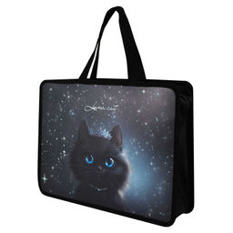 Папка для школьных тетрадей пластиковая Феникс+, арт. 69275/ 12 ПРИНЦЕССА ЛУНА