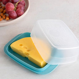 Масленка пластмассовая "Медея" 16,4х10,7х6,2см, прозрачная крышка, светло-голубой (Россия)