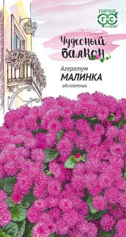 Агератум Малинка 0,05г (г) серия Чудесный балкон