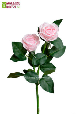 075 Роза двойная пионовидная - Без тм фото 20