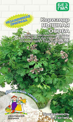 Кориандр (Кинза) ПЫШНАЯ ОСОБА  Нежная ароматная зелень! Используют листву и семена! Способствует оздоровлению!