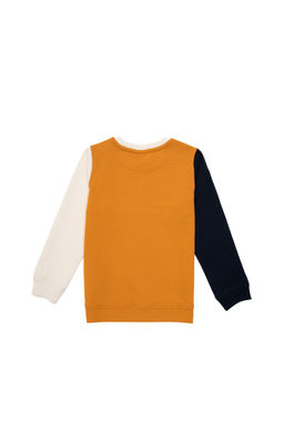 Толстовка горчичного цвета для мальчика - U.s. polo assn фото 12