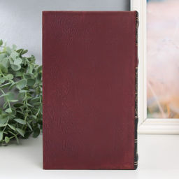 Шкатулка книга-сейф Notre-Dame De Paris, дерево, искусственная кожа, 21×13×5 см