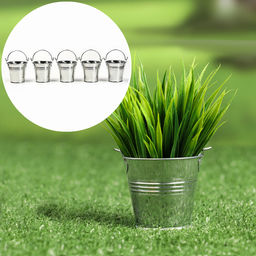 Цена за 3 шт. Набор кашпо «Ведёрко Альма», 5.5×5.5 см, 5 шт.