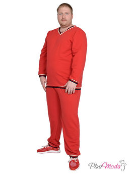 Толстовка Модель №733 размеры 44-84 - Plusmoda фото 4