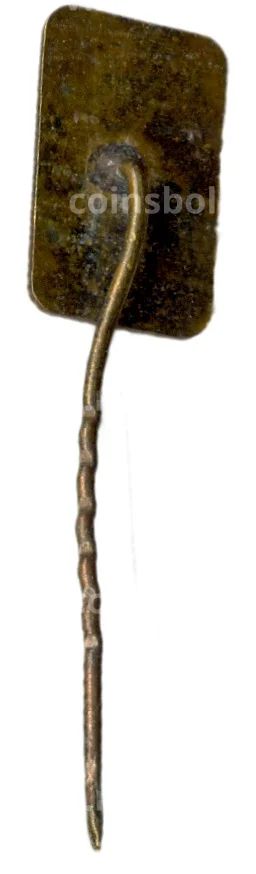 Значок Паланга