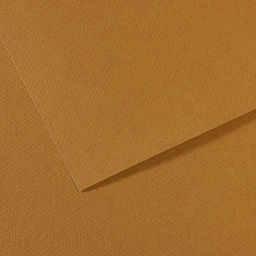 "Canson" Бумага для пастели Mi-Teintes 160 г/м2 A4 21 х 29.7 см лист 25 л. №336 Коричневый песчаный C31032S012