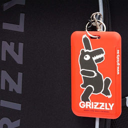 RAw-595-2 Рюкзак школьный - Grizzly фото 37