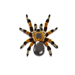 Брошь Тарантул - Orgalica фото 3