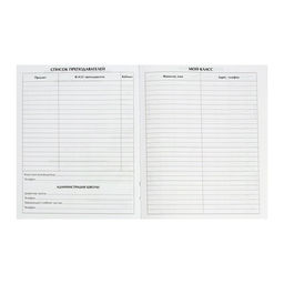 Дневник школьный для 1-11 классов, «Девочка со скейтом», твёрдая обложка 7БЦ, глянцевая ламинация, 40 листов