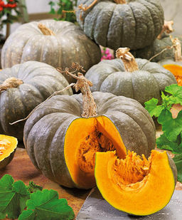 1c9b8ab3e3aa8b9d25dd220215667e04894u1ms5ulmewvxyo