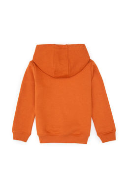 Erkek _ocuk Bak_r Basic Kap__onlu Sweatshirt - U.s. polo assn фото 2