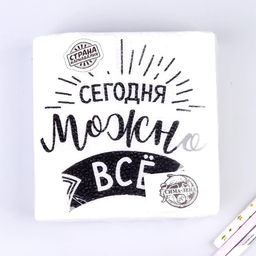 Цена за 2 шт. Салфетки бумажные «Сегодня можно всё», однослойные, 24×24 см, набор 20 шт.