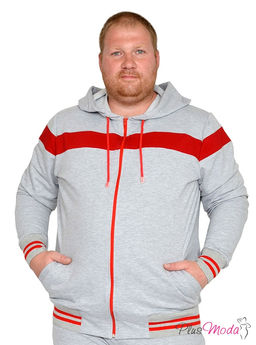 Толстовка Модель №1680 размеры 44-84