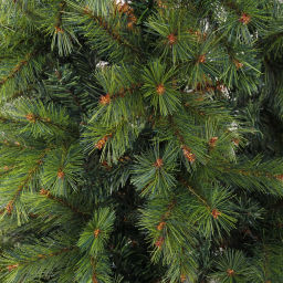 Елка "Императорская" 150 см, леска+ПВХ (458 веток)