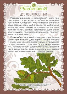 3 шт. Дуб (кора) - Мариславна фото 4