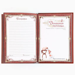 Родословная книга новогодняя «Дед Мороз» 17×2×23.7 см