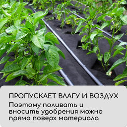 Материал мульчирующий, с перфорацией, 5×1.6 м, плотность 80 г/м², спанбонд с УФ-стабилизатором, 4 ряда перфорации, чёрный, Greengo, Эконом 30%