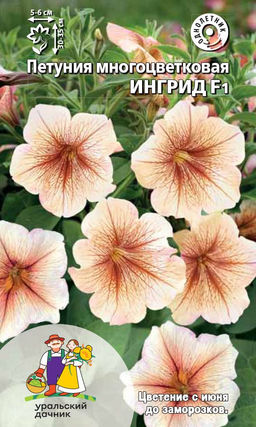 Петуния ИНГРИД F1  Многоцветковая!