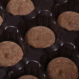 Цена за 2 шт. Набор для рассады: торфяная таблетка d=4.1 см, 12 шт., кассета на 12 ячеек по 40 мл, поддон 20.5×17 см, зелёный, пластик, Экоторф