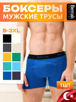 Мужские трусы Berrak 4476  фото 13