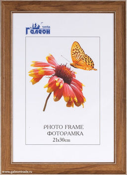 Фоторамка 21х30 / ZR8210H-222411 /уп10 - ГалеонТрейд фото 2