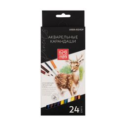 Аква-колор Изостудия IZO-WCP24 Набор акварельных карандашей заточенный 4 х 24 цв