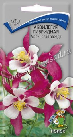 Аквилегия гибридная Малиновая звезда (ЦВ) ("М) 0,05гр.
