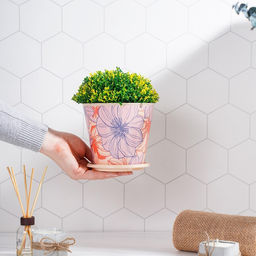 Цена за 2 шт. Горшок для цветов Доляна «Жарден», 800 мл, цвет бежевый