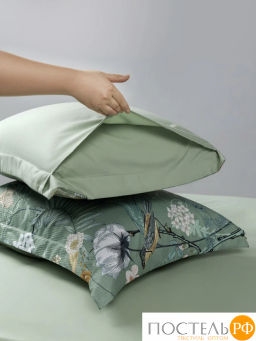 КПБ CASSIA СЕВИМ  фото 6