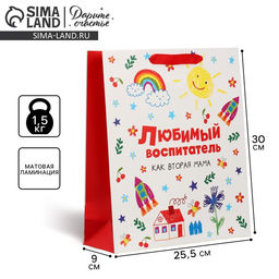 Цена за 2 шт. Пакет подарочный ламинированный, упаковка, «Любимый воспитатель», M 25.5×30×9 см