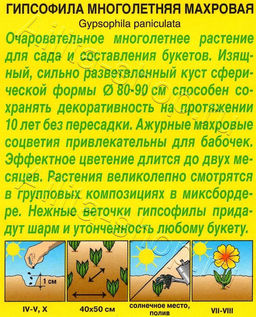 Гипсофила Махровая многолетняя 0,05г (Аэлита)