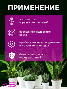 Фитосветильник для растений Luazon, светодиодный, 6 Вт, 300 мм, IP20, 220 В, мультиспектральный