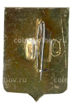 Значок Владимир