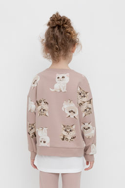 КР 302606/кофейный,милые кошечки к511 джемпер для дев - Crockid фото 5