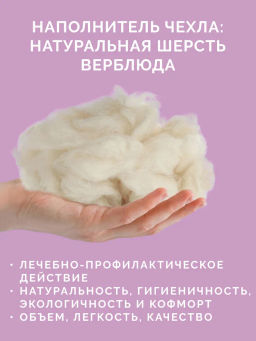 -35% Одеяло всесезонное 200х220 Караван Premium - Ecotex фото 4