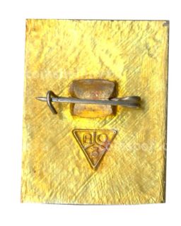 Значок Владимир