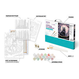 ФРЕЯ PNB/PM-323 Набор для раскрашивания по номерам 40 х 30 см Черный кот в лунной ночи