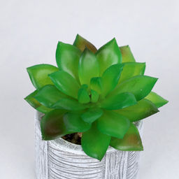 Цветочная композиция Кактус / WER-22 /уп 12/192/ микс - Галеонтрейд фото 17