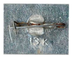 Значок Горький