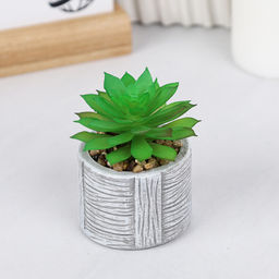 Цветочная композиция Кактус / WER-22 /уп 12/192/ микс - Галеонтрейд фото 22