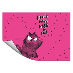 Плёнка цветная для уроков труда арт.59935/ 200 КРЭЙЗИ КОТ