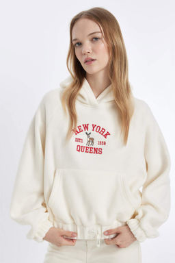 Coool Loose Fit Y?lbas? Temal? Kapusonlu Kanguru Cepli Polar Sweatshirt - Defacto фото 2
