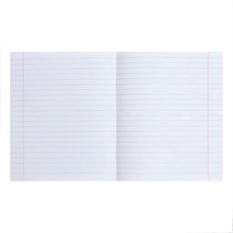 Цена за 20 шт. Тетрадь 12 листов линейку Calligrata «Пятёрка», обложка мелованный картон, МИКС