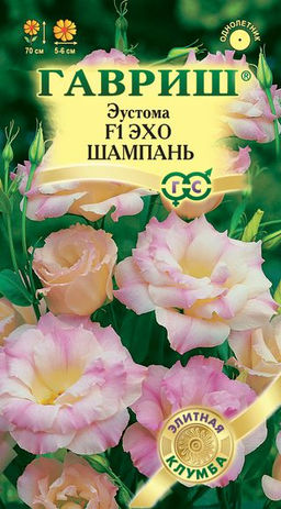 Эхо Шампань F1 эустома 4шт (г)