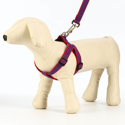 Комплект амуниции рельефный, поводок 120 х 2 см, ОГ 44-50 см, красно-синий - Пижон фото 3