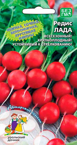 Редис ЛАДА  Всесезонный! Крупноплодный! Нежная, сочная, белоснежная, хрустящая мякоть! Не стрелкуется!