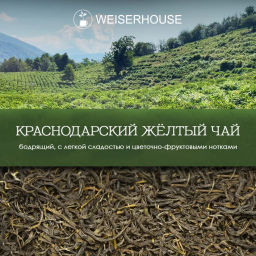 Живой чай / Краснодарский желтый (живой чай), 1 уп. * 100 гр.