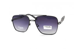 POMILED POLARIZED 08249 C4-124 58-17-140