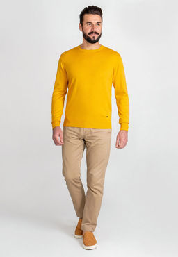 Джемпер мужской GREG G121-AC023 (горчица)  фото 4